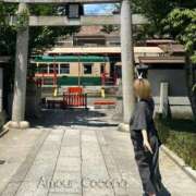 ヒメ日記 2025/10/02 07:45 投稿 ココナ AMOUR（アムール）