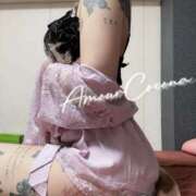 ヒメ日記 2025/12/26 15:56 投稿 ココナ AMOUR（アムール）