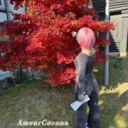 ヒメ日記 2026/02/04 10:39 投稿 ココナ AMOUR（アムール）