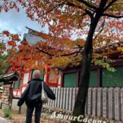 ヒメ日記 2026/02/11 15:57 投稿 ココナ AMOUR（アムール）