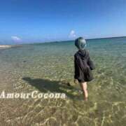 ヒメ日記 2026/02/12 07:31 投稿 ココナ AMOUR（アムール）