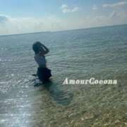 ヒメ日記 2026/02/18 12:10 投稿 ココナ AMOUR（アムール）