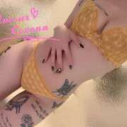 ヒメ日記 2026/03/11 07:45 投稿 ココナ AMOUR（アムール）