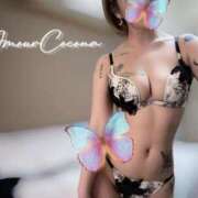 ヒメ日記 2026/03/11 11:27 投稿 ココナ AMOUR（アムール）