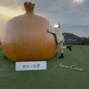 ヒメ日記 2026/04/08 12:50 投稿 ココナ AMOUR（アムール）