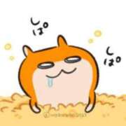 ヒメ日記 2025/05/16 19:36 投稿 にな 即プレイ専門店 性の極み