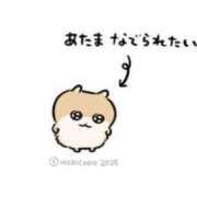 ヒメ日記 2025/08/23 19:16 投稿 にな 即プレイ専門店 性の極み