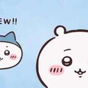 にな お詫び 即プレイ専門店 性の極み