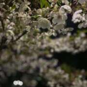 ヒメ日記 2026/04/03 23:55 投稿 千里（ちさと） 人妻・若妻デリヘル レディプレイス