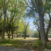 ヒメ日記 2026/04/12 15:16 投稿 千里（ちさと） 人妻・若妻デリヘル レディプレイス