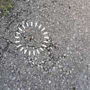 ヒメ日記 2025/08/13 10:21 投稿 りの 熟女の風俗最終章 宇都宮店