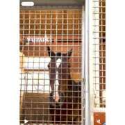 ヒメ日記 2025/12/08 19:30 投稿 ゆずき かりんと赤坂