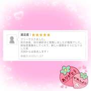 ヒメ日記 2025/01/28 17:31 投稿 かれん かりんと赤坂