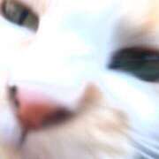 ヒメ日記 2024/12/13 10:05 投稿 清花 西川口前立腺研究所