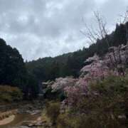 ヒメ日記 2025/04/14 12:38 投稿 ななお 奥様の実話 なんば店