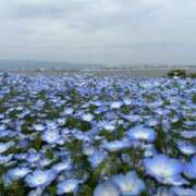 ヒメ日記 2026/04/29 22:57 投稿 ななお 奥様の実話 なんば店