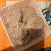 ヒメ日記 2025/04/02 21:31 投稿 大矢 品川やすらぎ