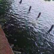 ヒメ日記 2025/05/05 15:12 投稿 大矢 品川やすらぎ