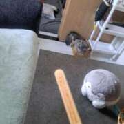 ヒメ日記 2025/08/20 13:02 投稿 大矢 品川やすらぎ