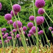 ヒメ日記 2025/10/26 00:38 投稿 大矢 品川やすらぎ