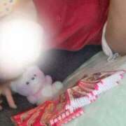 ヒメ日記 2025/11/01 03:15 投稿 大矢 品川やすらぎ