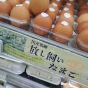 ヒメ日記 2025/11/06 22:17 投稿 大矢 品川やすらぎ