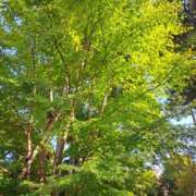 ヒメ日記 2026/01/12 20:25 投稿 大矢 品川やすらぎ