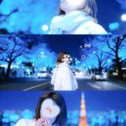 ヒメ日記 2026/01/30 19:16 投稿 大矢 品川やすらぎ