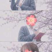 ヒメ日記 2026/03/27 20:08 投稿 大矢 品川やすらぎ