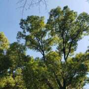 ヒメ日記 2026/10/10 10:19 投稿 桃井 人妻楼 熊谷店