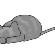 ヒメ日記 2025/01/16 12:00 投稿 まさみ 世界のあんぷり亭 錦糸町店