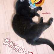 ヒメ日記 2024/12/27 22:36 投稿 まこと club さくら日本橋店