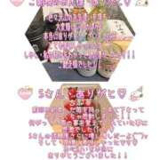 ヒメ日記 2025/02/04 16:46 投稿 まこと club さくら日本橋店