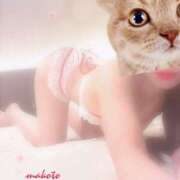 ヒメ日記 2025/03/10 09:46 投稿 まこと club さくら日本橋店