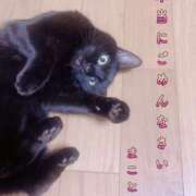 ヒメ日記 2025/03/25 09:18 投稿 まこと club さくら日本橋店