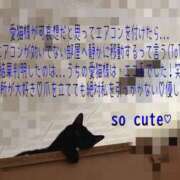 ヒメ日記 2025/06/20 01:26 投稿 まこと club さくら日本橋店