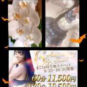 ヒメ日記 2025/10/15 09:46 投稿 まこと club さくら日本橋店