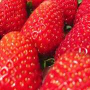 ヒメ日記 2025/11/17 23:46 投稿 まこと club さくら日本橋店