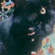 ヒメ日記 2025/11/28 13:06 投稿 まこと club さくら日本橋店