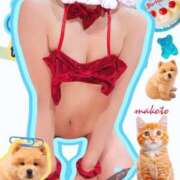 ヒメ日記 2025/12/03 09:30 投稿 まこと club さくら日本橋店