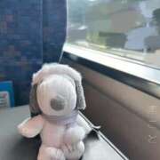 まこと まこと（clubさくら日本橋店） club さくら日本橋店