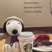 ヒメ日記 2026/01/20 09:56 投稿 まこと club さくら日本橋店