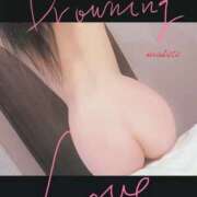 ヒメ日記 2026/02/21 08:58 投稿 まこと club さくら日本橋店