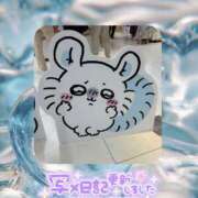 ヒメ日記 2025/08/15 12:33 投稿 なな Arrest（アレスト）