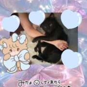 ヒメ日記 2025/09/10 14:34 投稿 なな Arrest（アレスト）