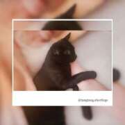 ヒメ日記 2025/10/09 15:19 投稿 なな Arrest（アレスト）