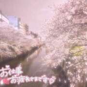 ヒメ日記 2025/10/30 20:41 投稿 なな Arrest（アレスト）