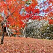 ヒメ日記 2024/12/11 21:33 投稿 結城 愛美 昼妻夜 滋賀店