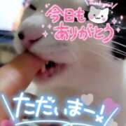 ヒメ日記 2024/12/15 03:03 投稿 結城 愛美 昼妻夜 滋賀店