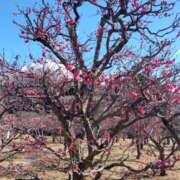 ヒメ日記 2025/02/28 16:33 投稿 結城 愛美 昼妻夜 滋賀店